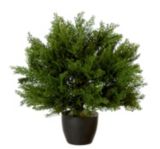Artificial Potted Cedar, 15-in