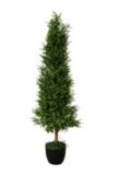 Plastic Cone Boxwood Tree in Pot, 5-ft
