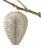 Bee-Free Natural Wasp Deterrent, 2-Pk