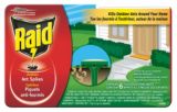 Raid Outdoor Ant Spikes, 6-Pk