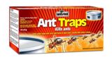 Wilson Ant Traps, 12-pk