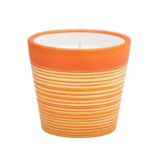 Painted Terracotta Citronella Candle