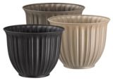 Coventry Plastic Planter with Self-Watering Base, Assorted