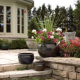 Bauviet Planters, Set of 3