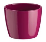 Marco Planter, Magenta
