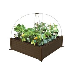 Keter Raised Garden Kit Reviews (8 reviews) Buy Now