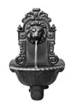 Lion's Head Fountain