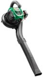 Gas-Powered Blower, 25cc, 2-Cycle Engine