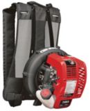 Troy-Bilt Backpack Leaf Blower, 25 cc