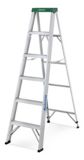 �chelle double professionnel, 6 pi