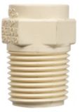 Bow CPVC Adapter