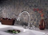 Delta Leland™ Pull-Down Kitchen Faucet