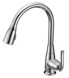 Danze Single Handle, Pull-down Kitchen Faucet