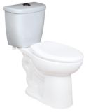 Danze Aurora 4 and 6 L Dual Flush Toilet Tank