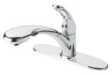 Delta® Signature Pull-Out Faucet