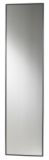 Door Mirror
