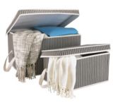 For Living 2 Pack Pinstripe Storage box