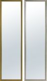 Door Mirror
