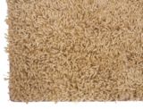 Mid Tone Shag Rug, 5 x 7 ft