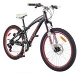 V�lo de ville Kranked Republic 24 po