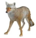 Lone Howler Coyote Decoy