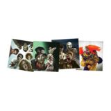 Crosman Undead Zombie Targets