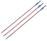 Carbon Express Youth Fibreglass Arrows