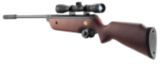 Beeman Air Rifle