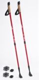 Broadstone Trekking Poles, 2-pk