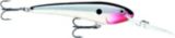 Rapala Trolls to Minnow