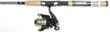 Mitchell Spinning Combo