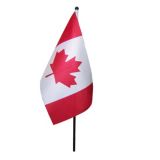 Mini drapeau canadien