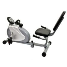 schwinn 270 recumbent bike canadian tire