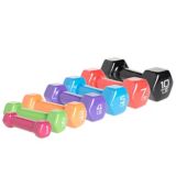 Alex Vinyl-Dipped Dumbbell
