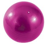 Exercise Ball with Pump