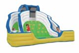 Double Water Slide