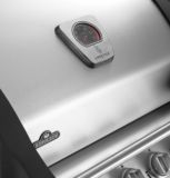 Napoleon CT485 RSB Stationary Propane BBQ