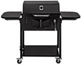 Master Chef Stationary Charcoal BBQ