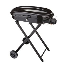 barbecue fixe masterchef charbon de bois