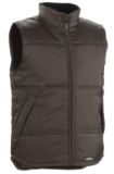 Men's North 49 Polyester Vest, Moss