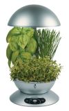 Aerogarden Aerogrow, 3-Pod with Herb Seed Pack