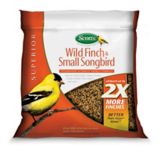 Scott's Wild Finch and Small Songbird ...