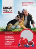 The Dog Whisperer with Cesar Millan Cranbe...