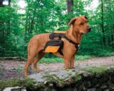 Sacoches pour animal Wander