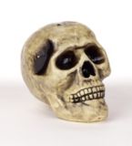 Decorative Skull
