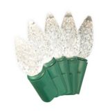 Likewise 35 Outdoor C6 LED Christmas Lights, Assorted Colours