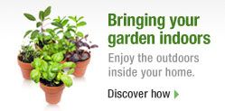 Bring your garden indoors