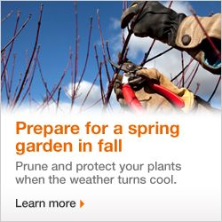 Prune and protect your plants when the weather turns cool