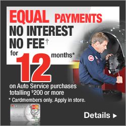 Equal Payments No interest no fee for 12 months 