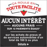 AUCUN INTERET AUCUNS FRAIS 12 PAIEMENTS �GAUX*